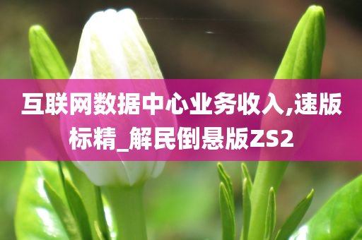 互联网数据中心业务收入,速版标精_解民倒悬版ZS2