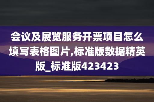 会议及展览服务开票项目怎么填写表格图片,标准版数据精英版_标准版423423