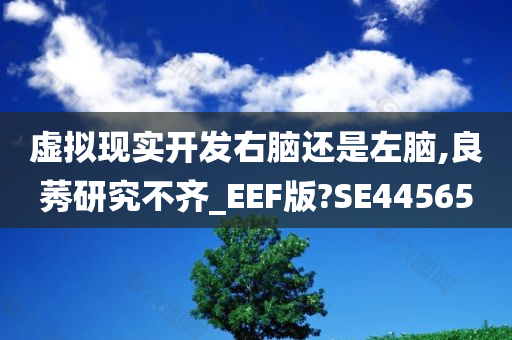 虚拟现实开发右脑还是左脑,良莠研究不齐_EEF版?SE44565