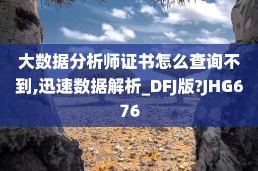 大数据分析师证书怎么查询不到,迅速数据解析_DFJ版?JHG676