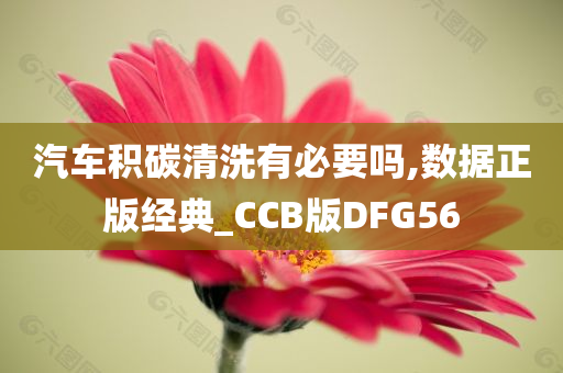 汽车积碳清洗有必要吗,数据正版经典_CCB版DFG56