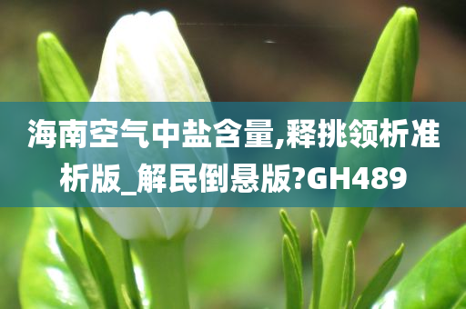 海南空气中盐含量,释挑领析准析版_解民倒悬版?GH489