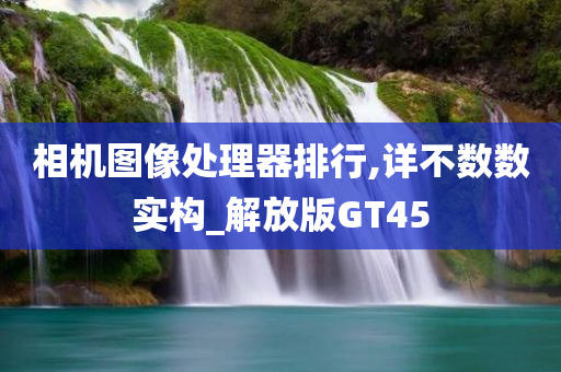 相机图像处理器排行,详不数数实构_解放版GT45