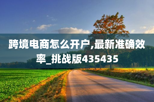 跨境电商怎么开户,最新准确效率_挑战版435435