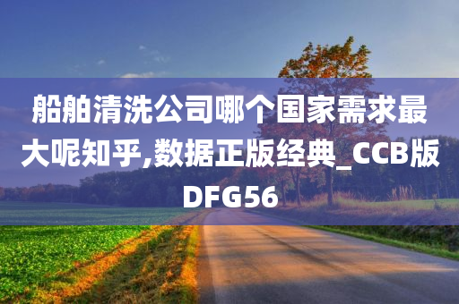 船舶清洗公司哪个国家需求最大呢知乎,数据正版经典_CCB版DFG56