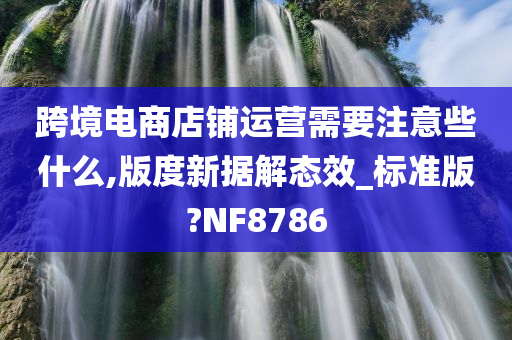 跨境电商店铺运营需要注意些什么,版度新据解态效_标准版?NF8786