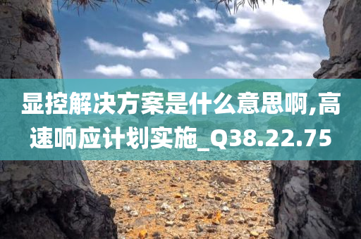 显控解决方案是什么意思啊,高速响应计划实施_Q38.22.75