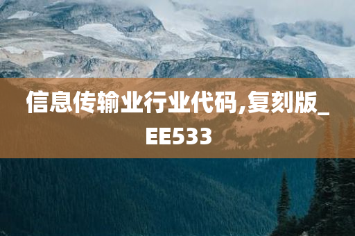 信息传输业行业代码,复刻版_EE533