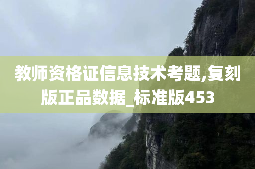 教师资格证信息技术考题,复刻版正品数据_标准版453