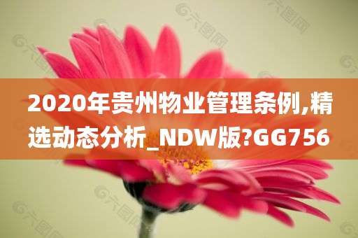 2020年贵州物业管理条例,精选动态分析_NDW版?GG756