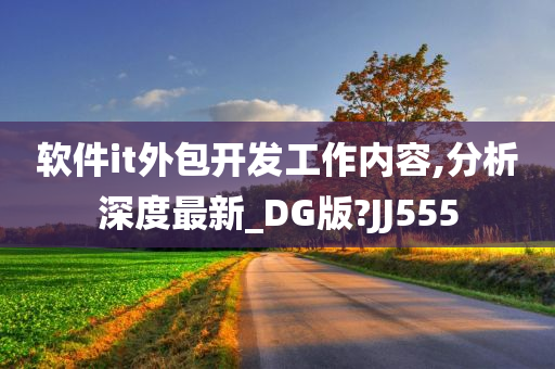 软件it外包开发工作内容,分析深度最新_DG版?JJ555