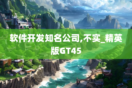 软件开发知名公司,不实_精英版GT45