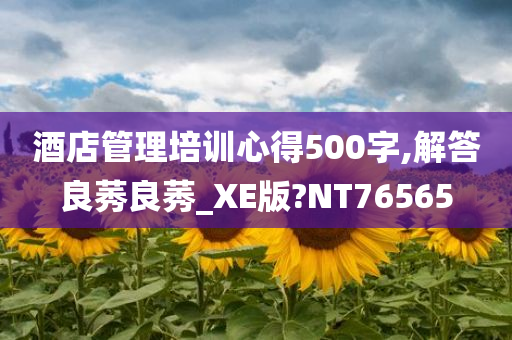 酒店管理培训心得500字,解答良莠良莠_XE版?NT76565