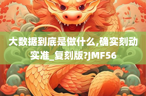 大数据到底是做什么,确实刻动实准_复刻版?JMF56