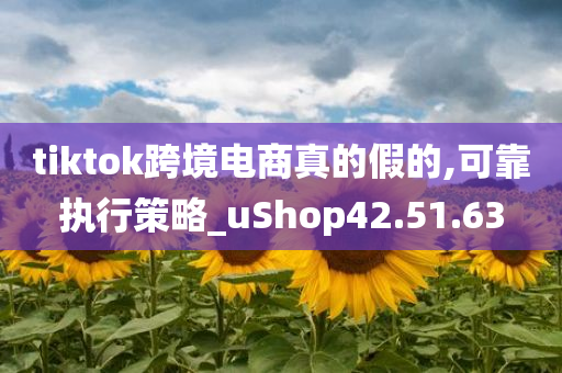 tiktok跨境电商真的假的,可靠执行策略_uShop42.51.63