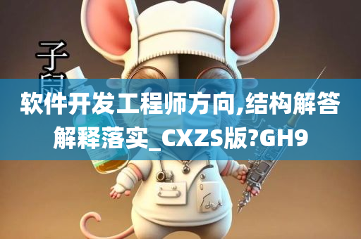 软件开发工程师方向,结构解答解释落实_CXZS版?GH9