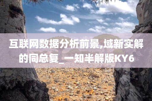 互联网数据分析前景,域新实解的同总复_一知半解版KY6