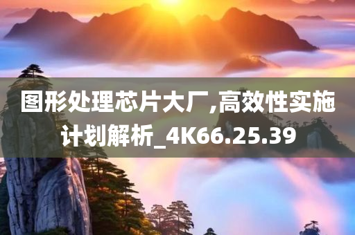 图形处理芯片大厂,高效性实施计划解析_4K66.25.39