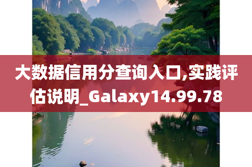 大数据信用分查询入口,实践评估说明_Galaxy14.99.78