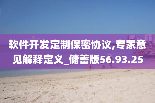 软件开发定制保密协议,专家意见解释定义_储蓄版56.93.25