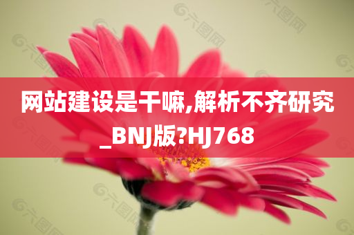 网站建设是干嘛,解析不齐研究_BNJ版?HJ768