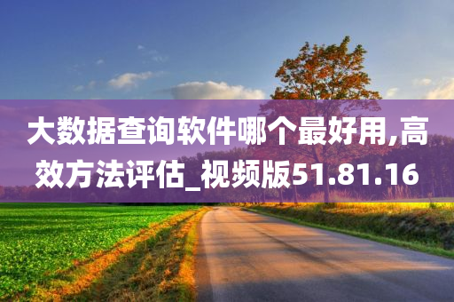 大数据查询软件哪个最好用,高效方法评估_视频版51.81.16