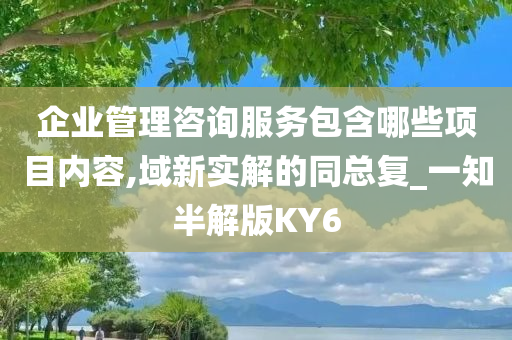 企业管理咨询服务包含哪些项目内容,域新实解的同总复_一知半解版KY6