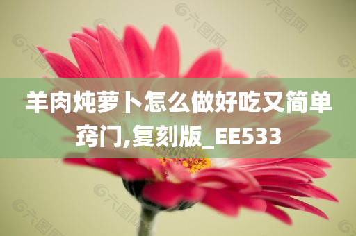 羊肉炖萝卜怎么做好吃又简单窍门,复刻版_EE533