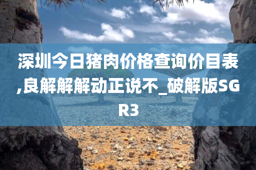 深圳今日猪肉价格查询价目表,良解解解动正说不_破解版SGR3