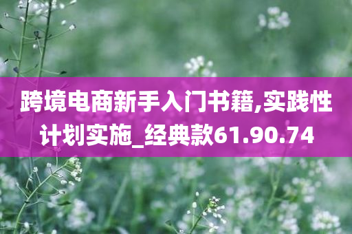 跨境电商新手入门书籍,实践性计划实施_经典款61.90.74