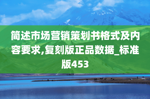 简述市场营销策划书格式及内容要求,复刻版正品数据_标准版453