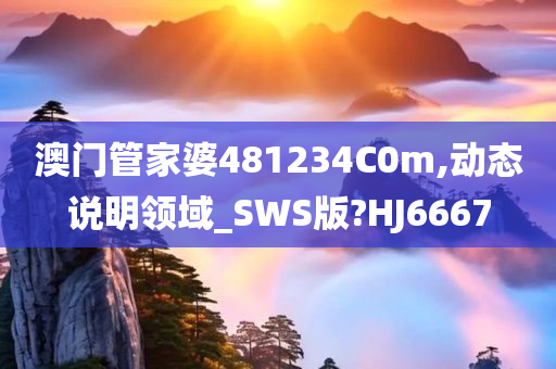 澳门管家婆481234C0m,动态说明领域_SWS版?HJ6667