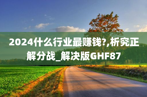 2024什么行业最赚钱?,析究正解分战_解决版GHF87