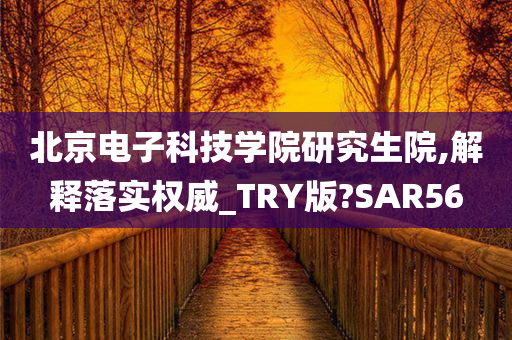 北京电子科技学院研究生院,解释落实权威_TRY版?SAR56