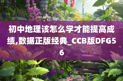 初中地理该怎么学才能提高成绩,数据正版经典_CCB版DFG56