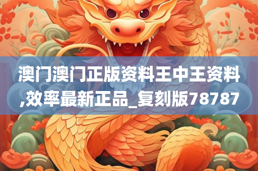 澳门澳门正版资料王中王资料,效率最新正品_复刻版78787