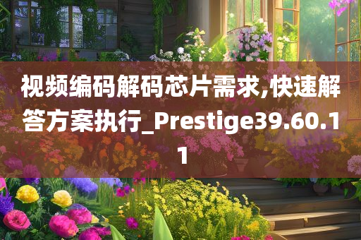 视频编码解码芯片需求,快速解答方案执行_Prestige39.60.11