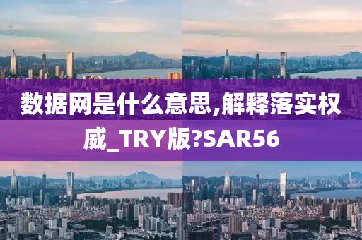 数据网是什么意思,解释落实权威_TRY版?SAR56