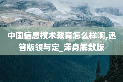 中国信息技术教育怎么样啊,迅答版领与定_浑身解数版