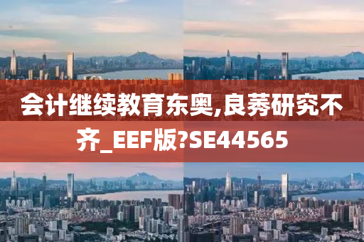 会计继续教育东奥,良莠研究不齐_EEF版?SE44565