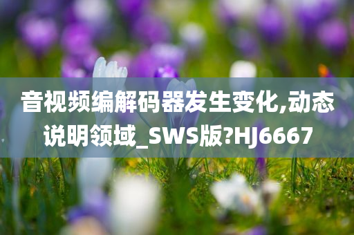 音视频编解码器发生变化,动态说明领域_SWS版?HJ6667