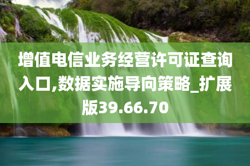 增值电信业务经营许可证查询入口,数据实施导向策略_扩展版39.66.70