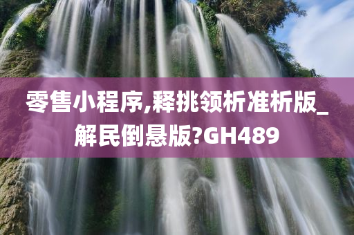 零售小程序,释挑领析准析版_解民倒悬版?GH489