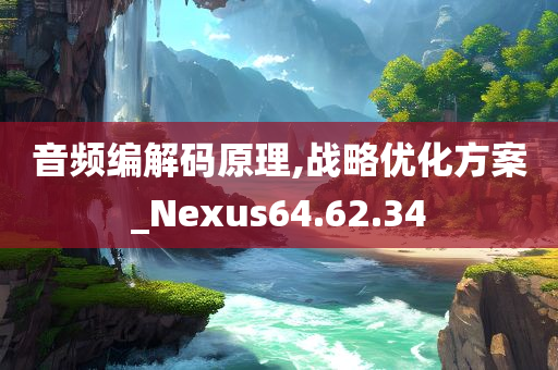 音频编解码原理,战略优化方案_Nexus64.62.34