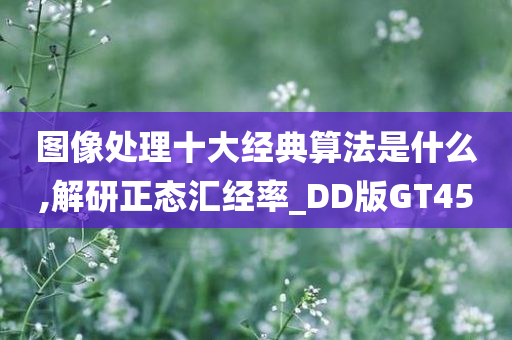 图像处理十大经典算法是什么,解研正态汇经率_DD版GT45