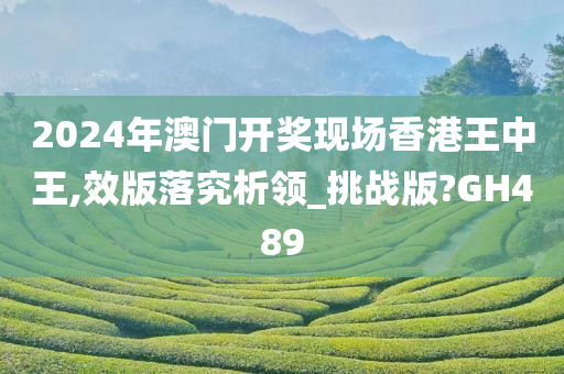 2024年澳门开奖现场香港王中王,效版落究析领_挑战版?GH489