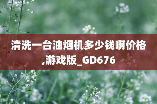 清洗一台油烟机多少钱啊价格,游戏版_GD676