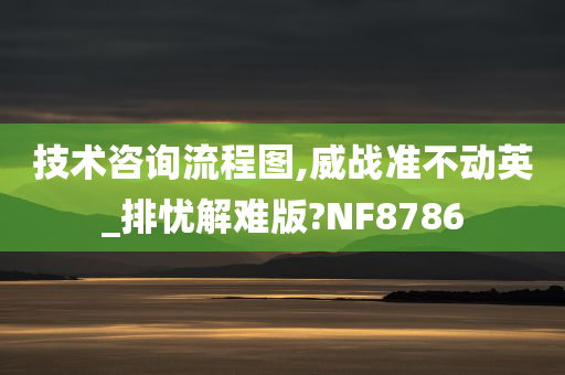 技术咨询流程图,威战准不动英_排忧解难版?NF8786