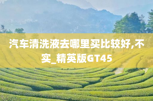 汽车清洗液去哪里买比较好,不实_精英版GT45