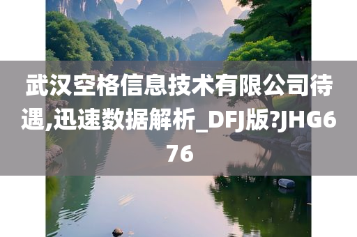 武汉空格信息技术有限公司待遇,迅速数据解析_DFJ版?JHG676